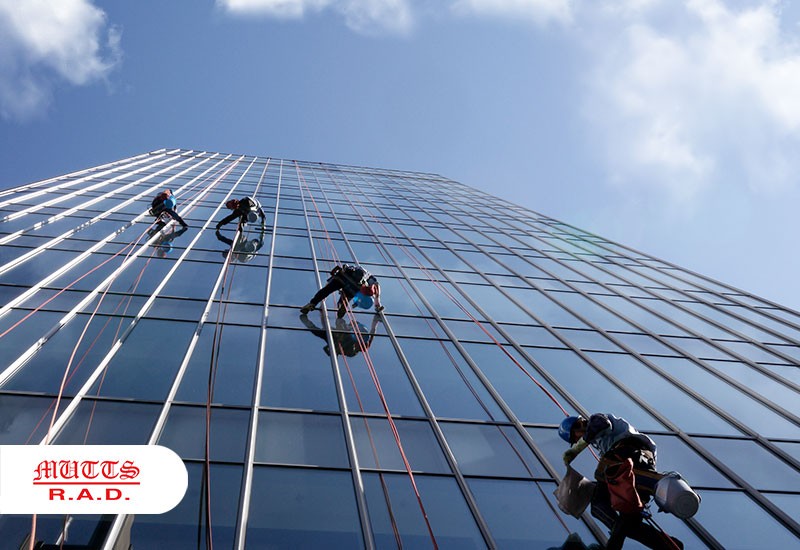 High-Rise Window Cleaning