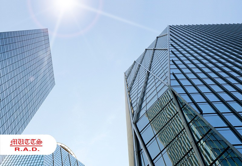 High-Rise Window Repair & Installation